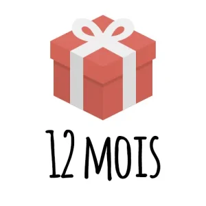 1 an d’abonnement : 12 x 19,90€ = 238,80€