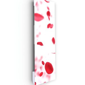Radiateur Design Electrique Vertical Soufflant | 60×120 | 1750W 🔥 Fanmix | Confort & Economie | Pétales de rose